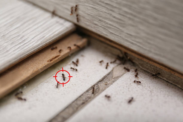 Best Pest Prevention Services  in Oklahoma, PA