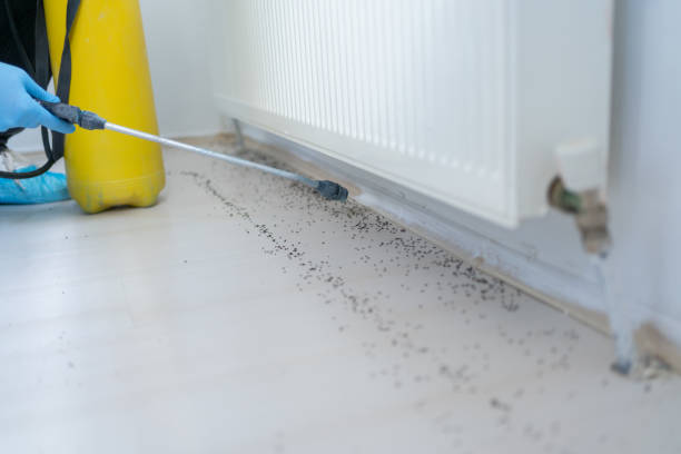 Best Residential Pest Control  in Oklahoma, PA